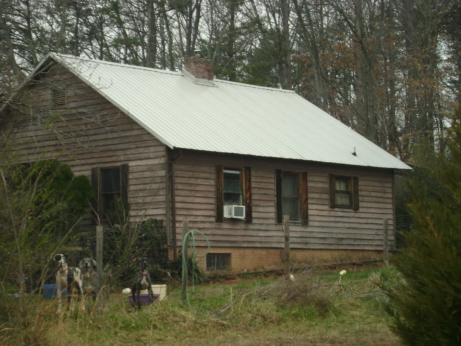 White metal roof on an old wood sided farmhouse, from a Asphalt Shingle Roof Repair job in Saint Stephen